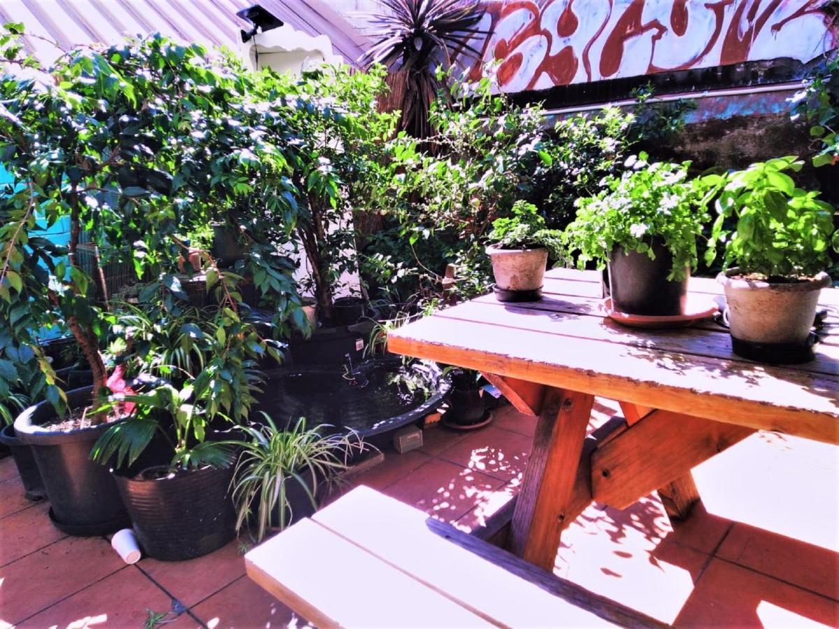 Asylum Sydney Backpackers Hostel Екстер'єр фото